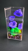 3×3×6 Jumping Spider Enclosure