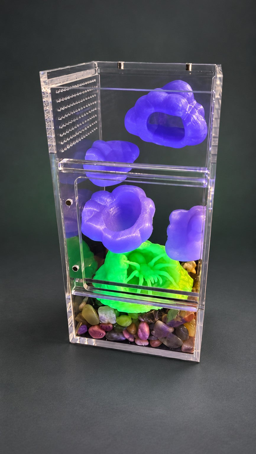 3×3×6 Jumping Spider Enclosure